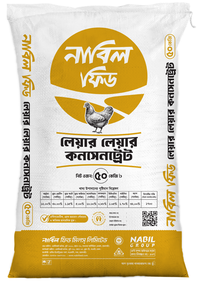 Layer Layer Concentrate Poultry Feed