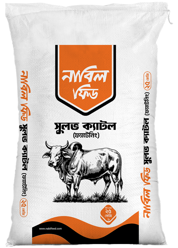 Sulov-Cattle-Fattening
